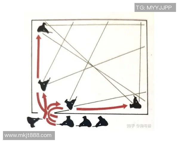 重庆羽毛球队整体压制战术解析与实战应用探讨 重庆羽毛球队整体压制战术解析与实战应用探讨