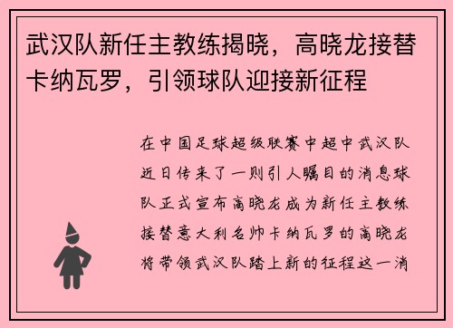 武汉队新任主教练揭晓，高晓龙接替卡纳瓦罗，引领球队迎接新征程