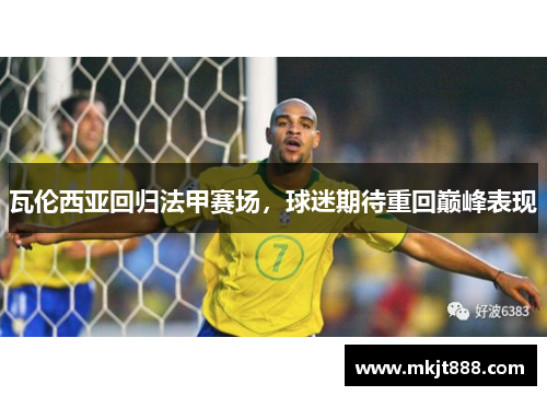 瓦伦西亚回归法甲赛场，球迷期待重回巅峰表现