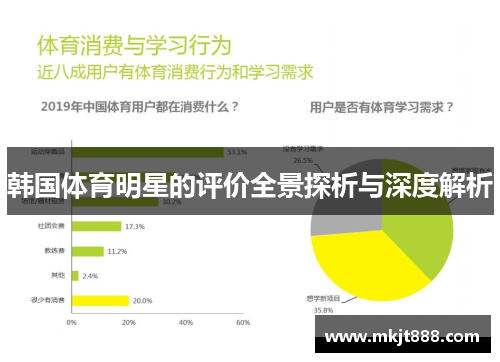 韩国体育明星的评价全景探析与深度解析