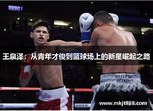 王泉泽：从青年才俊到篮球场上的新星崛起之路