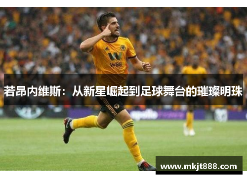 若昂内维斯：从新星崛起到足球舞台的璀璨明珠